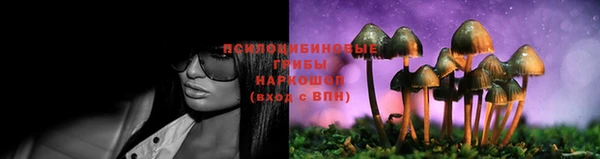 дурь Дмитров